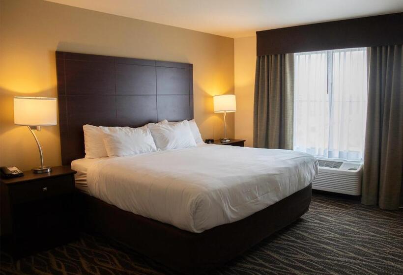 스탠다드 스튜디오, Cobblestone Hotel & Suites   Two Rivers