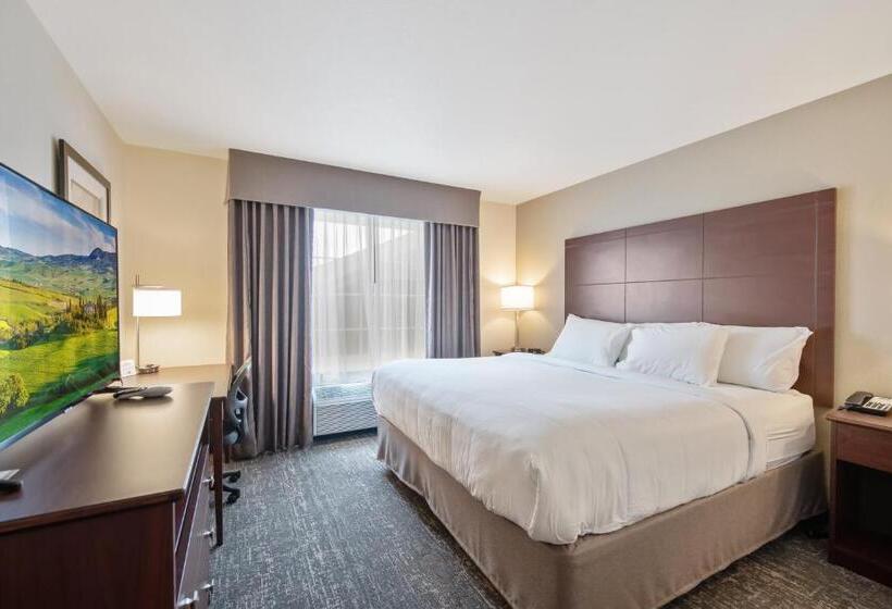 إستوديو قياسى, Cobblestone Hotel & Suites   Two Rivers