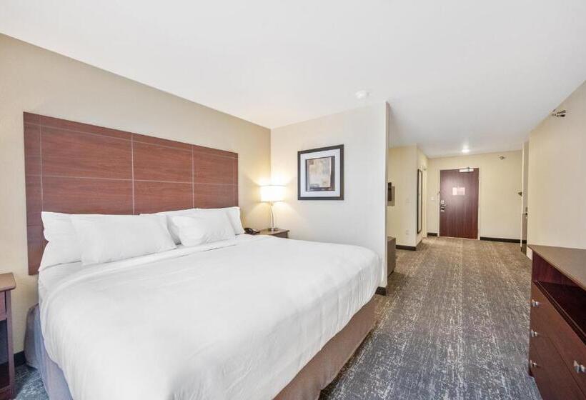 إستوديو قياسى, Cobblestone Hotel & Suites   Two Rivers