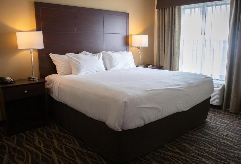 스탠다드 룸 킹사이즈 침대, Cobblestone Hotel & Suites   Two Rivers