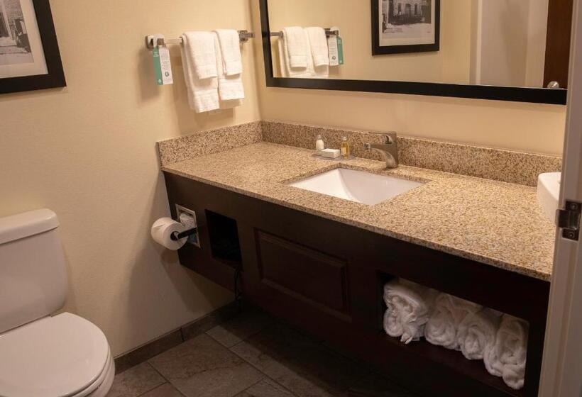 장애인을 위한 킹사이즈 침대 스탠다드 룸, Cobblestone Hotel & Suites   Two Rivers