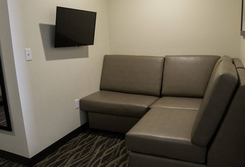 إستوديو قياسى, Cobblestone Hotel & Suites   Two Rivers