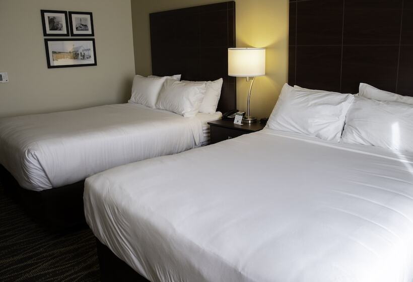 إستوديو قياسى, Cobblestone Hotel & Suites   Two Rivers