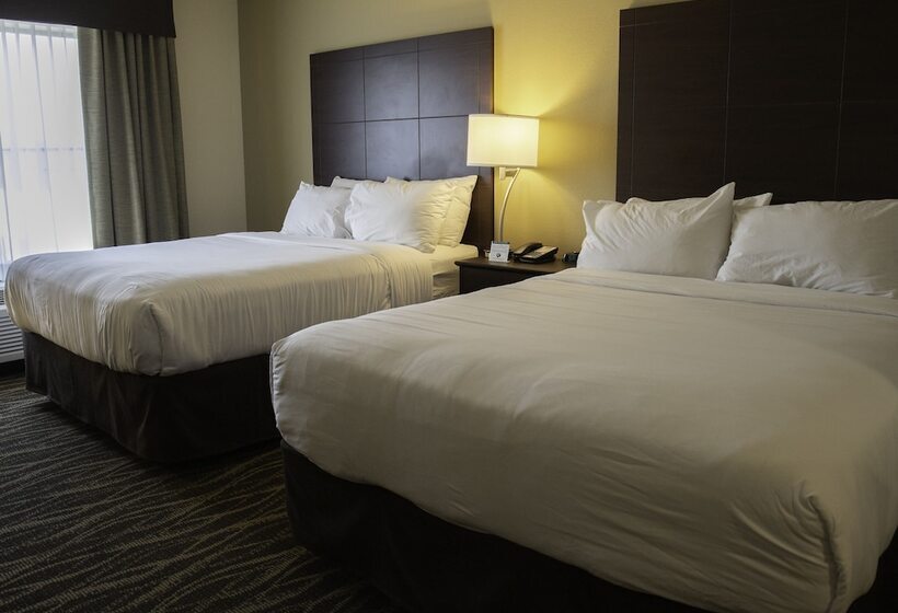 스탠다드 스튜디오, Cobblestone Hotel & Suites   Two Rivers