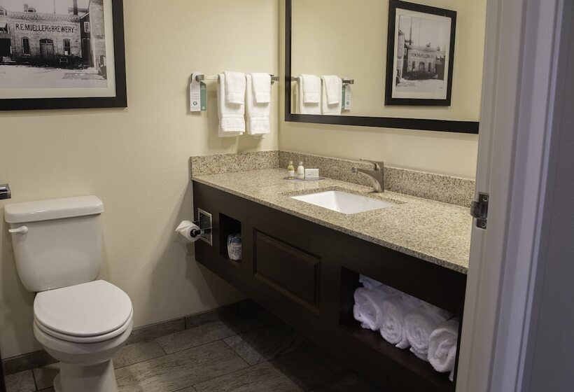 إستوديو قياسى, Cobblestone Hotel & Suites   Two Rivers