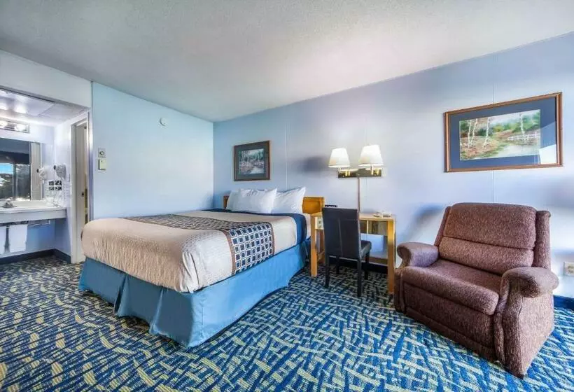 اتاق استاندارد با تخت بزرگ, Hospitality Inn