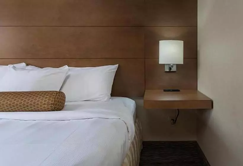 キングサイズベッドのスタンダードルーム, Shilo Inn Hotel & Suites   Yuma