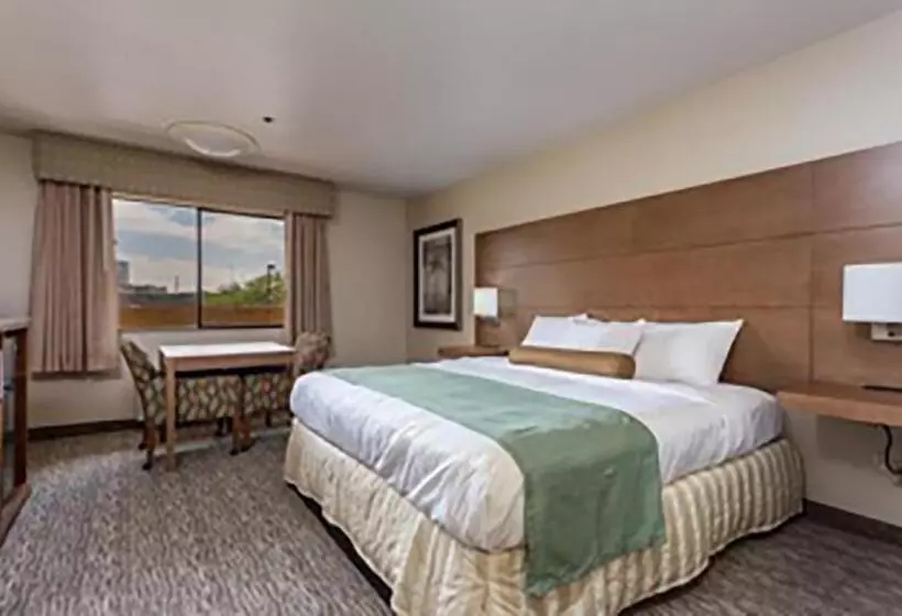 キングサイズベッドのスタンダードルーム, Shilo Inn Hotel & Suites   Yuma