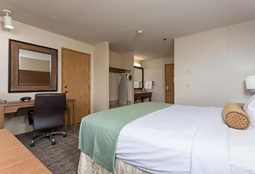 غرفة قياسية سرير كينج, Shilo Inn Hotel & Suites   Yuma