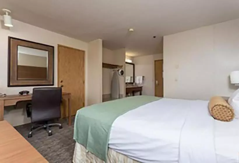 キングサイズベッドのスタンダードルーム, Shilo Inn Hotel & Suites   Yuma
