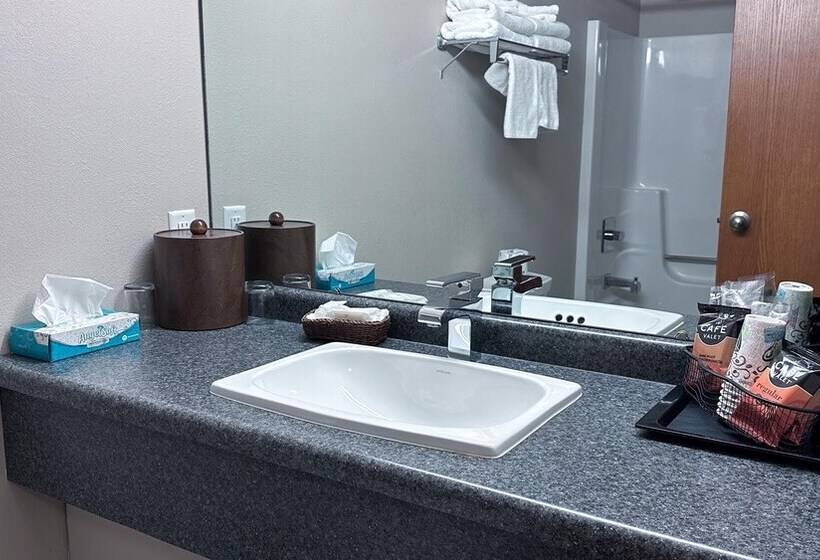 غرفة قياسية, The Shelby Inn