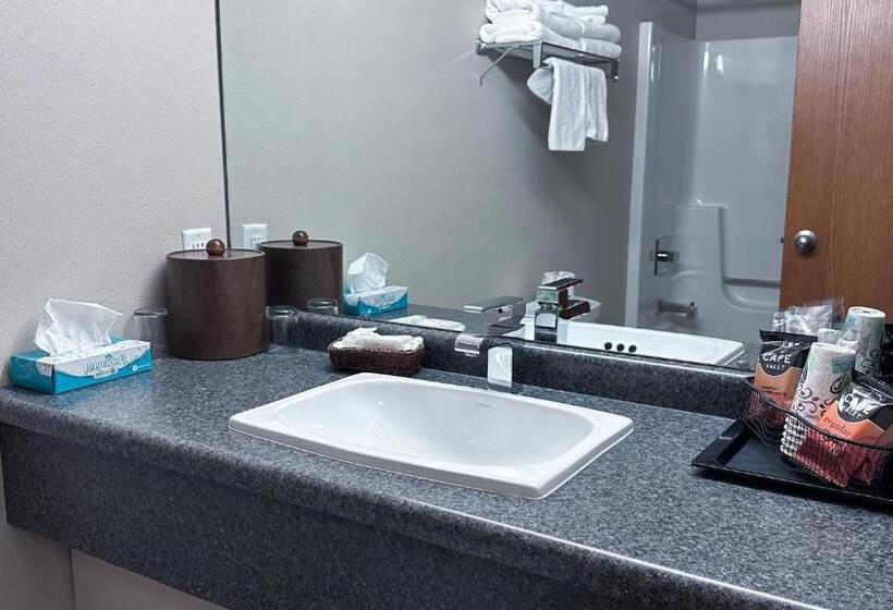 带2个双人床的标准工作室, The Shelby Inn