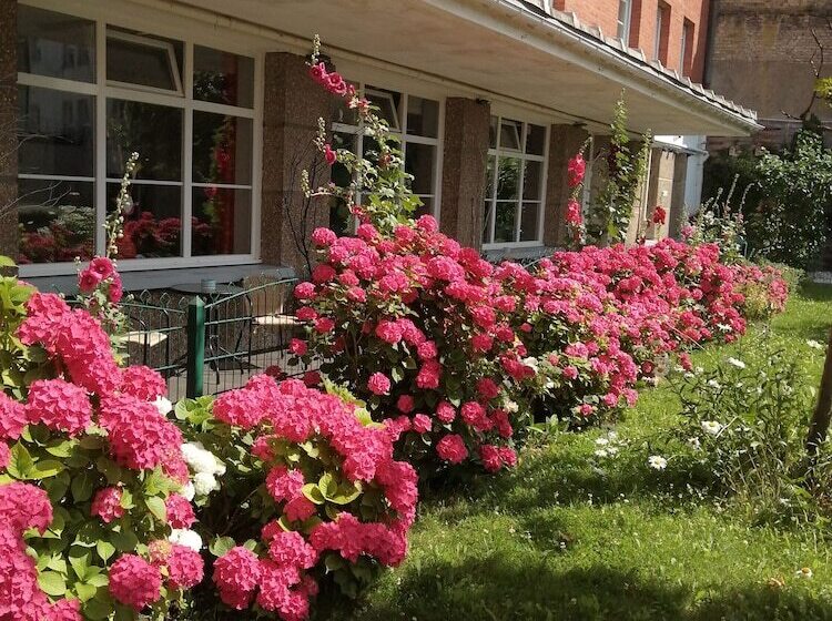 סטודיו משפחתי, Hôtel Les Jardins Dunkerque Center