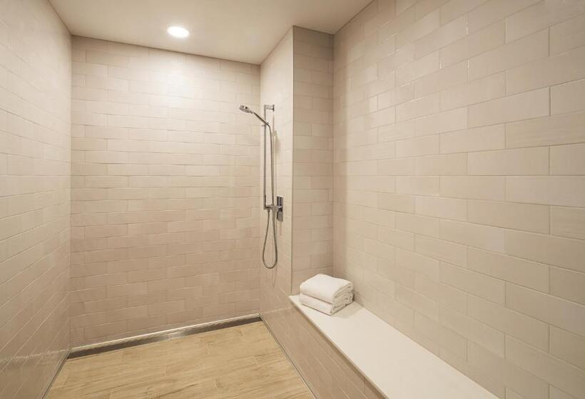 סוויטת אקזקיוטיב 2 חדרים, Level Chicago  Old Town