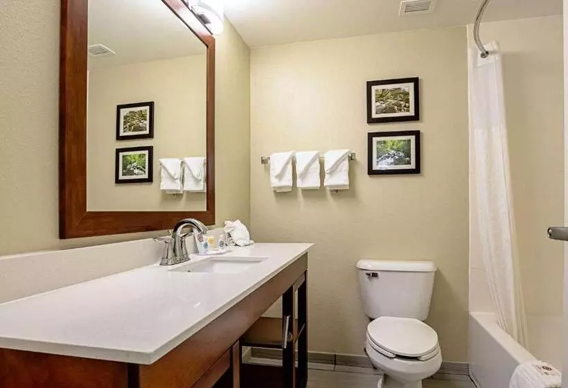 キングサイズベッドのスタンダードルーム, Comfort Inn Indianapolis North  Carmel