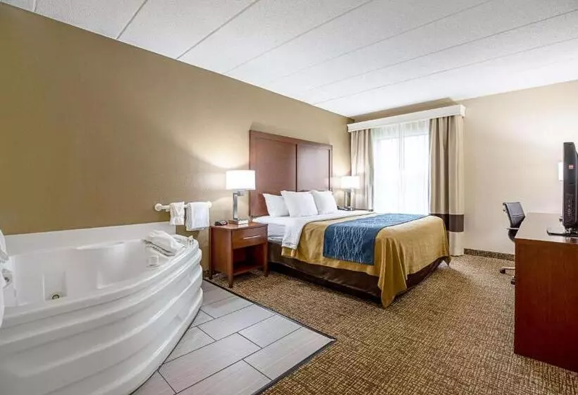 キングサイズベッドのスタンダードルーム, Comfort Inn Indianapolis North  Carmel
