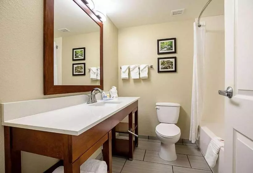 スタンダードルーム, Comfort Inn Indianapolis North  Carmel
