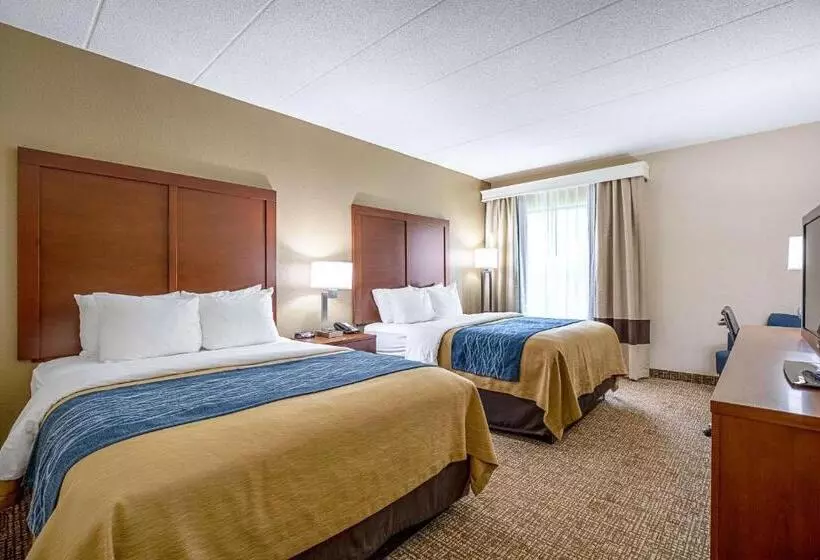 スタンダードルーム, Comfort Inn Indianapolis North  Carmel