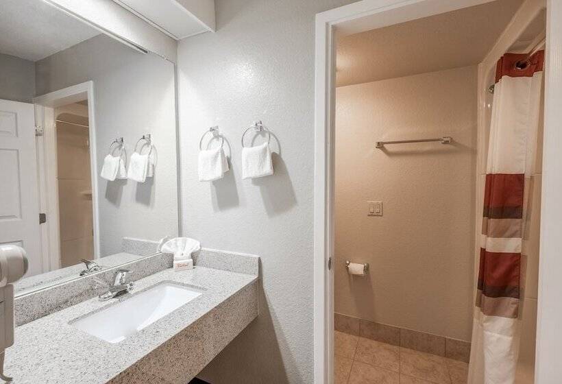 带2个双人床的标准工作室, Greentree Inn Houston Iah Airport