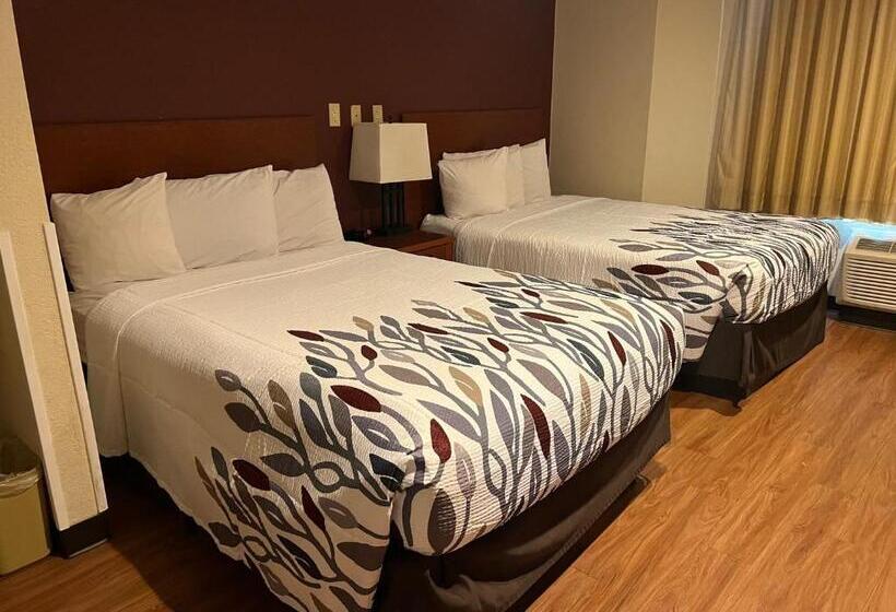 带2个双人床的标准工作室, Greentree Inn Houston Iah Airport