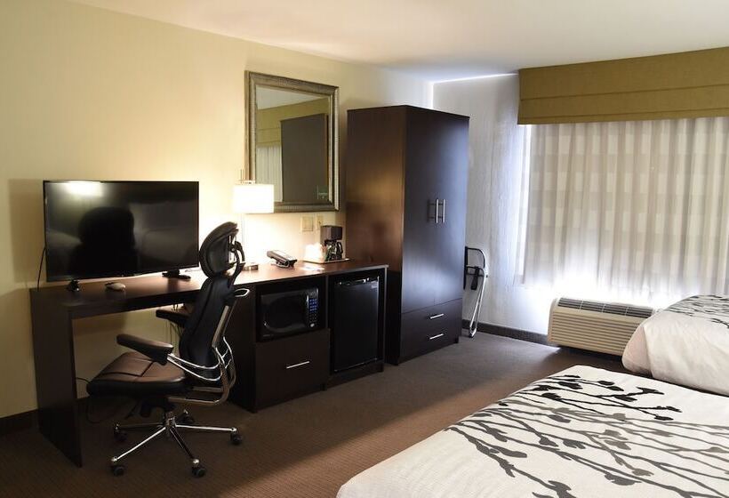 اتاق استاندارد با 2 تخت دوبل, Sleep Inn Airport Phoenix