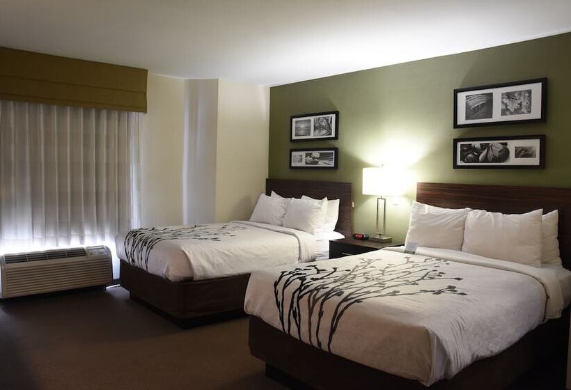 اتاق استاندارد با 2 تخت دوبل, Sleep Inn Airport Phoenix