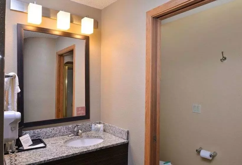 اتاق استاندارد با 2 تخت دوبل, Sleep Inn Fayetteville North
