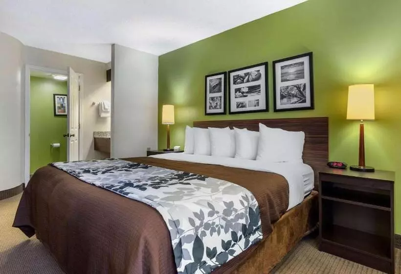 Standard-huone King-vuode, Sleep Inn Near I 80 And I 94