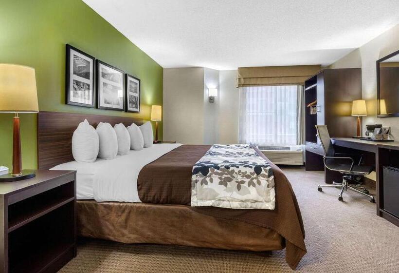 キングサイズベッドのスタンダードルーム, Sleep Inn Near I 80 And I 94