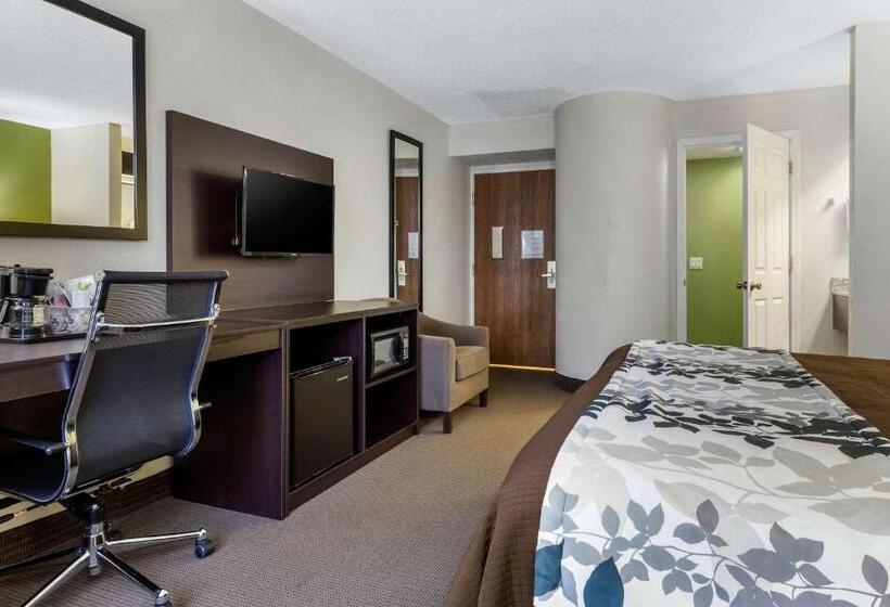 غرفة قياسية سرير كينج, Sleep Inn Near I 80 And I 94