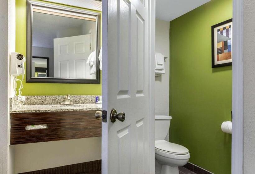 غرفه قياسيه سريرين مزدوجين, Sleep Inn Near I 80 And I 94