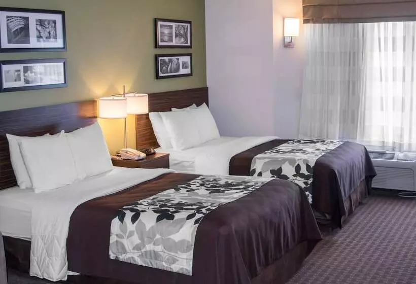 اتاق استاندارد با 2 تخت دوبل, Sleep Inn