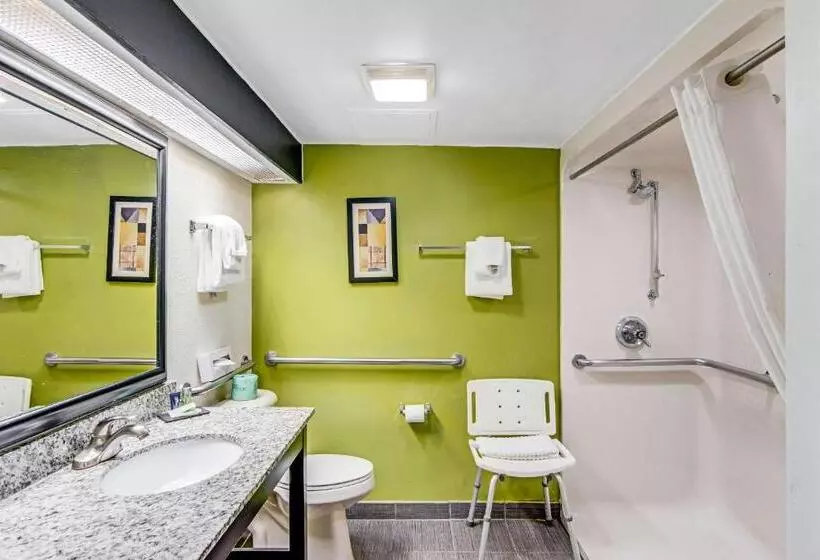 Standard-huone King-vuode, Sleep Inn Near I 80 And I 94