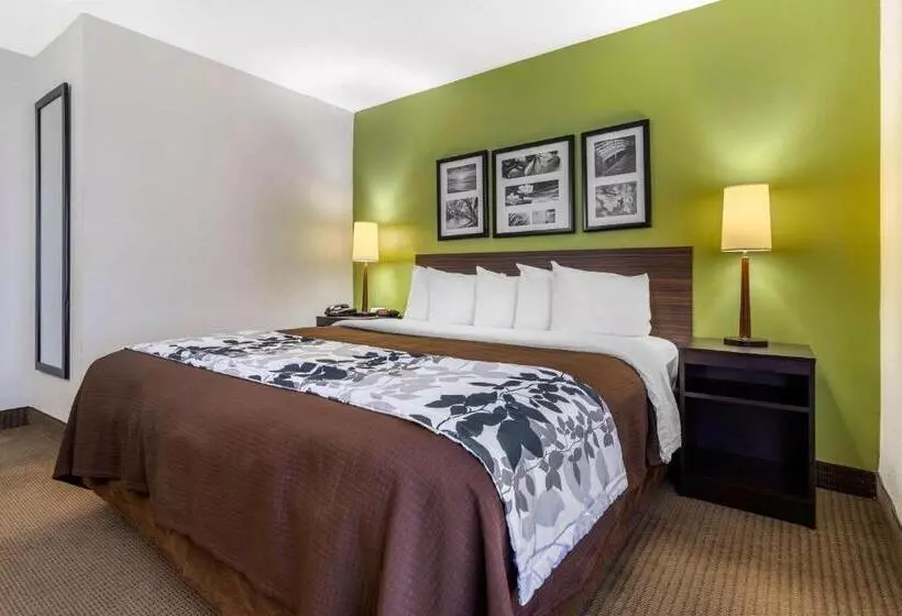 Standard-huone King-vuode, Sleep Inn Near I 80 And I 94
