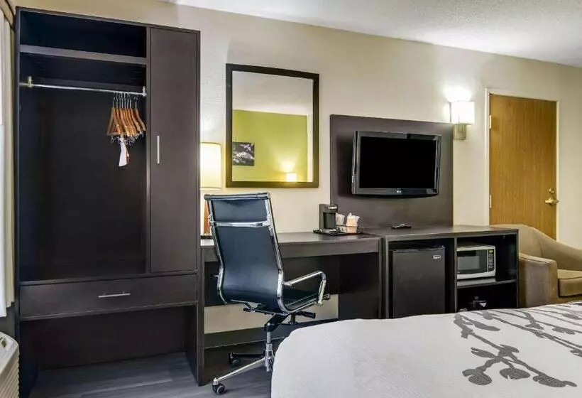 Standard-huone King-vuode, Sleep Inn Near I 80 And I 94