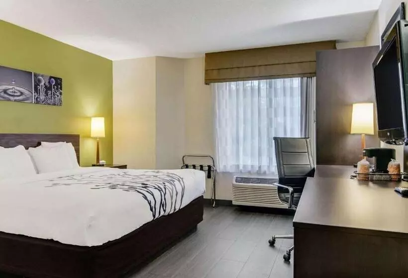Standard-huone King-vuode, Sleep Inn Near I 80 And I 94