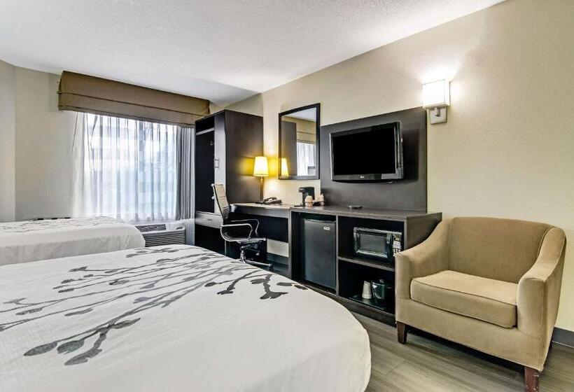 Номер Стандарт 2 Двуспальные Кровати, Sleep Inn Near I 80 And I 94