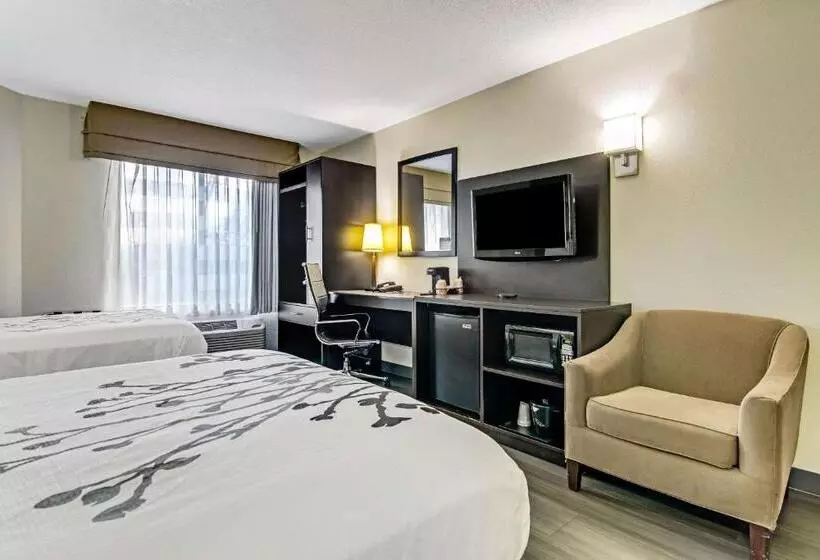 Standard-huone 2 Parivuodetta, Sleep Inn Near I 80 And I 94
