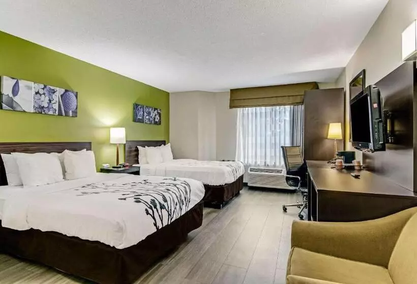 Standard-huone 2 Parivuodetta, Sleep Inn Near I 80 And I 94