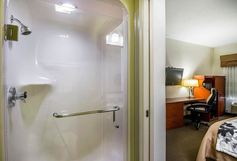 غرفه قياسيه سريرين مزدوجين, Sleep Inn Peachtree City   Atlanta