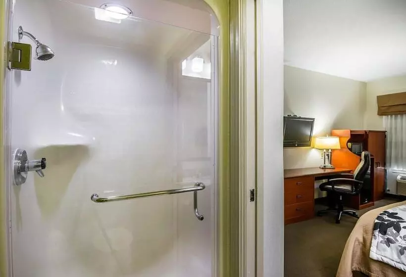 2ダブルベッドのスタンダードルーム, Sleep Inn Peachtree City Atlanta