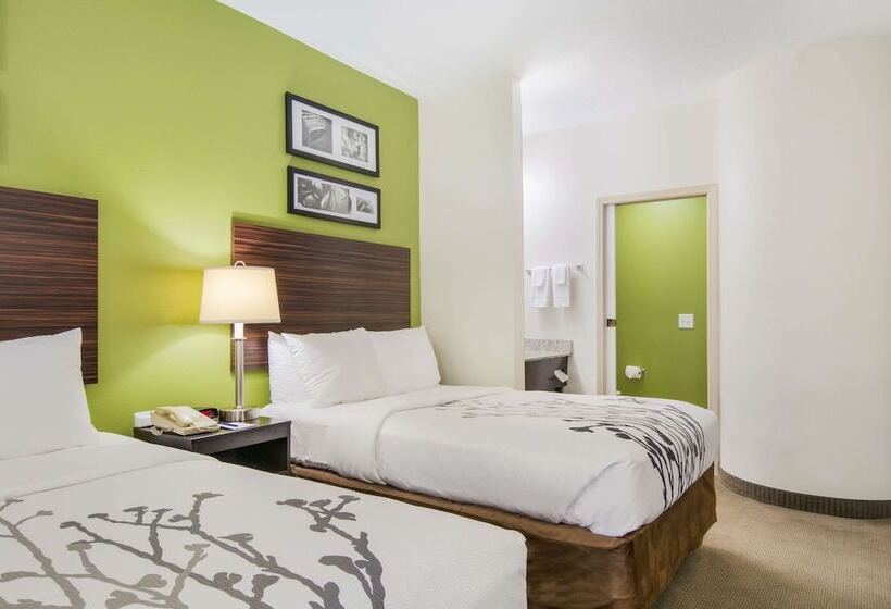 غرفه قياسيه سريرين مزدوجين, Sleep Inn Peachtree City   Atlanta