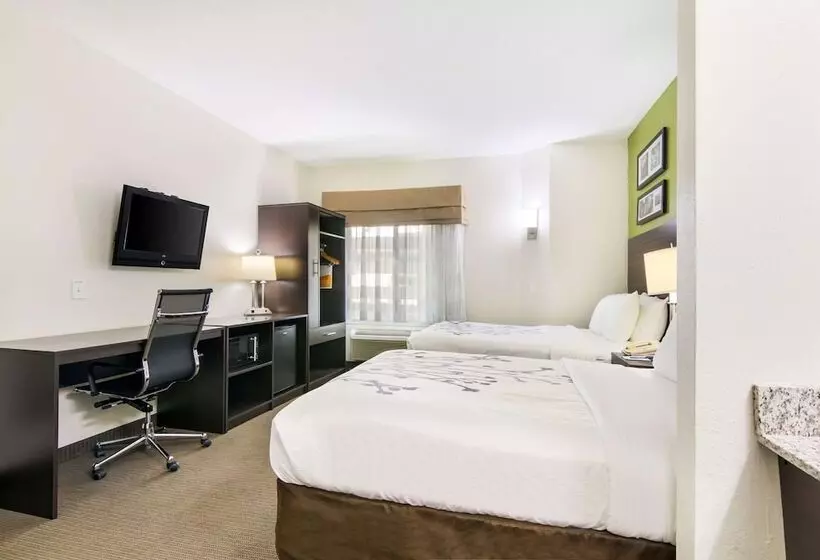 2ダブルベッドのスタンダードルーム, Sleep Inn Peachtree City Atlanta