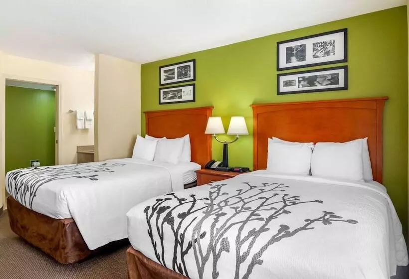 ２ダブルベッドのスタンダードルーム, Sleep Inn Macon I 75