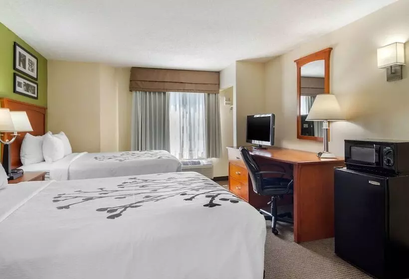 ２ダブルベッドのスタンダードルーム, Sleep Inn Macon I 75