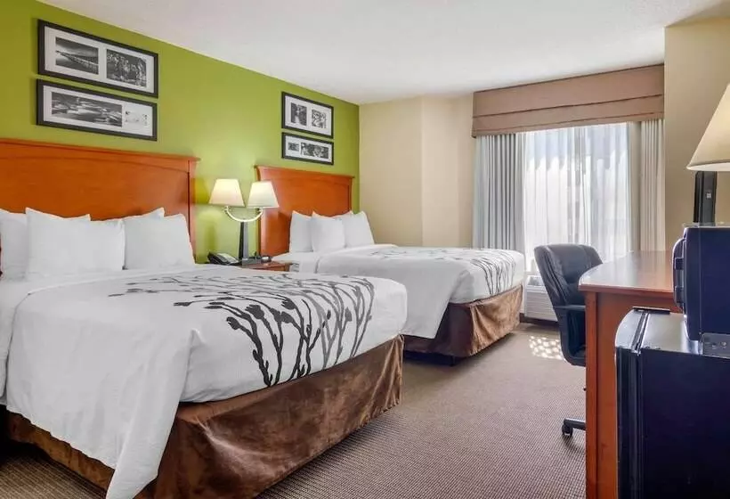 ２ダブルベッドのスタンダードルーム, Sleep Inn Macon I 75