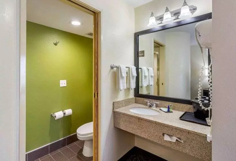 اتاق استاندارد با 2 تخت دوبل, Sleep Inn Ogden Near Event Center