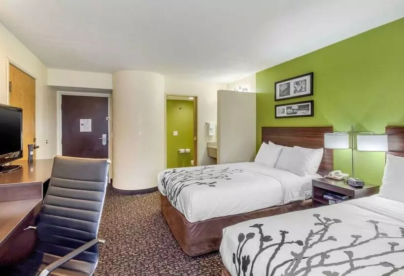اتاق استاندارد با 2 تخت دوبل, Sleep Inn Ogden Near Event Center