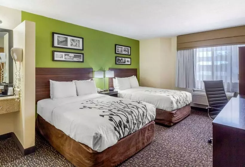 اتاق استاندارد با 2 تخت دوبل, Sleep Inn Ogden Near Event Center