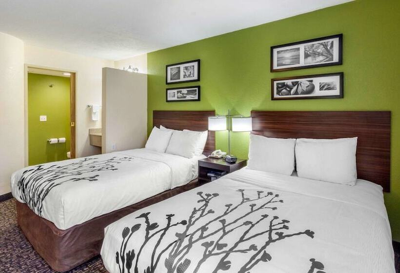 带2个双人床的标准工作室, Sleep Inn Ogden Near Event Center